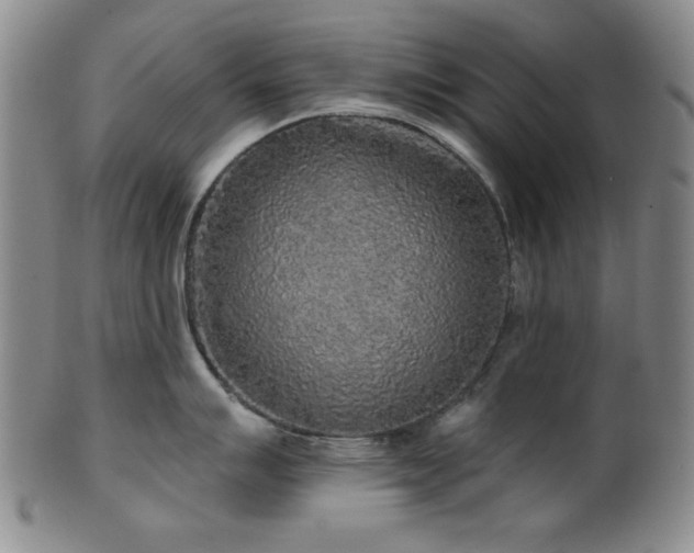 X0000102461007200808081223