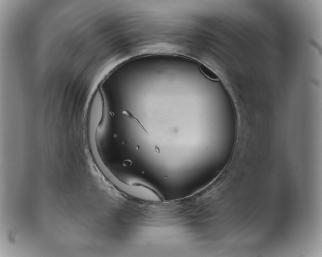 X0000102461008200808081223