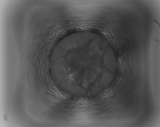X0000102461009200808081222