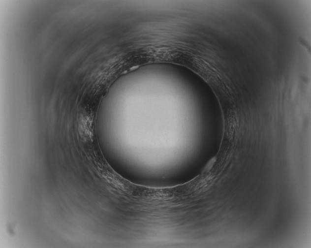 X0000102461010200808081222