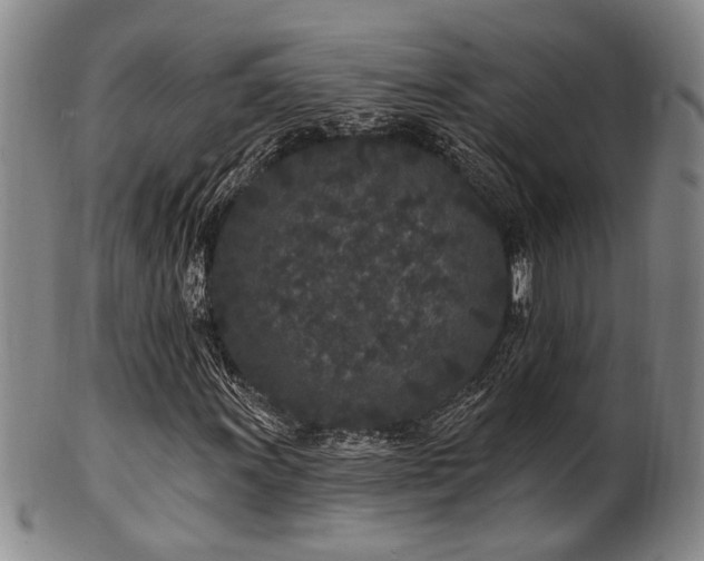 X0000102461011200808081222