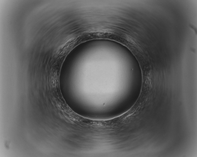 X0000102461014200808081222