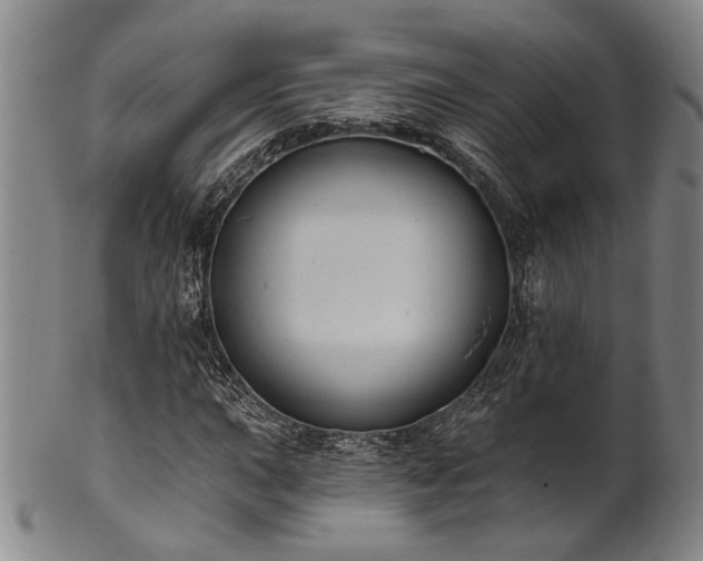 X0000102461015200808081222