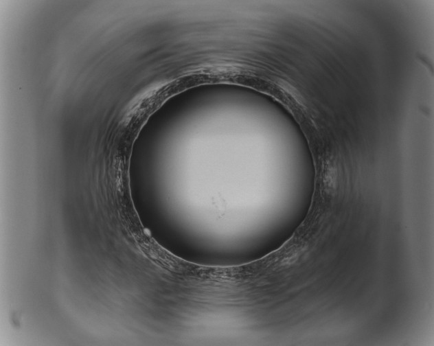 X0000102461016200808081222