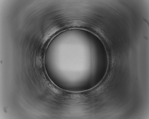X0000102461018200808081222