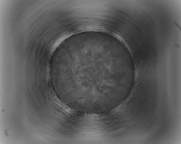 X0000102461019200808081222