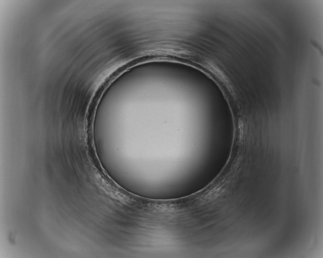 X0000102461020200808081222