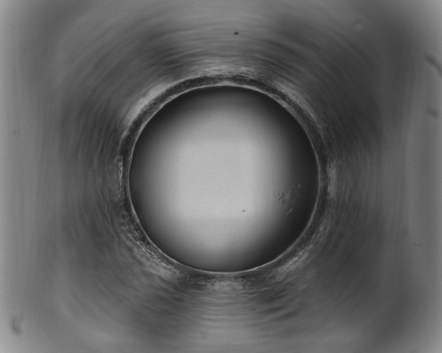 X0000102461021200808081222