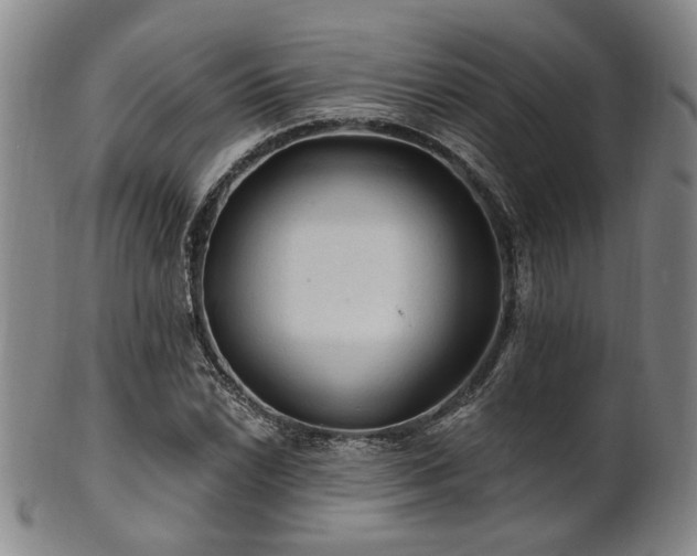 X0000102461022200808081222