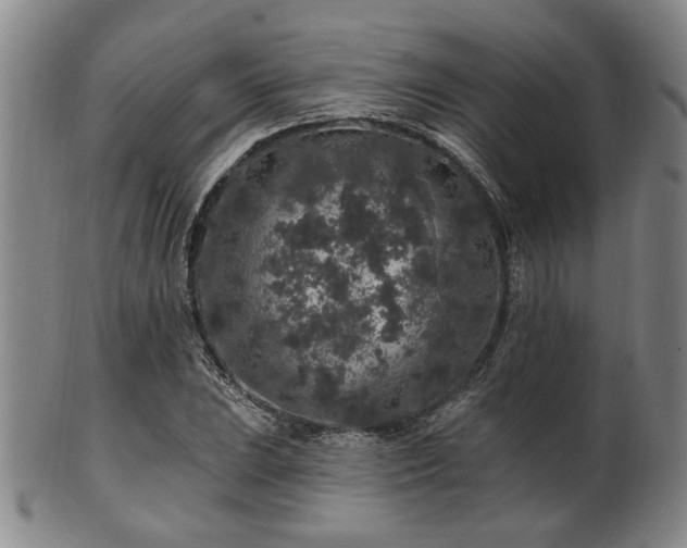 X0000102461023200808081222