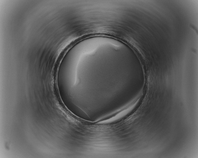 X0000102461024200808081223