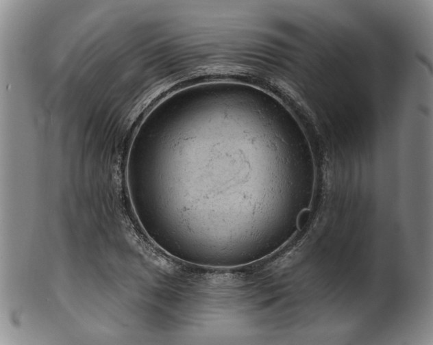 X0000102461025200808081223