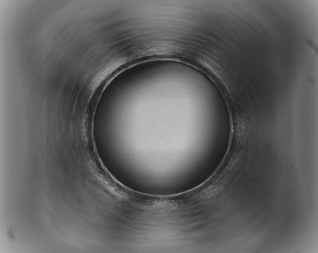 X0000102461026200808081223
