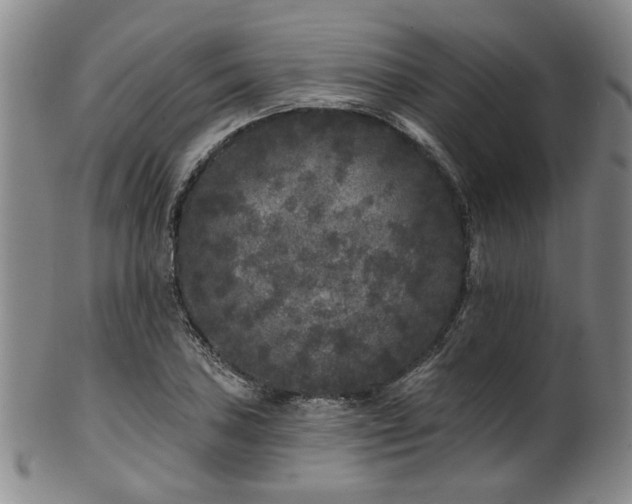X0000102461027200808081223