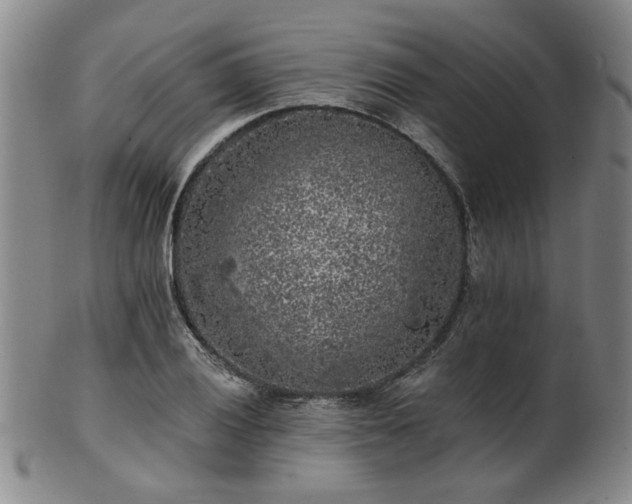 X0000102461028200808081223
