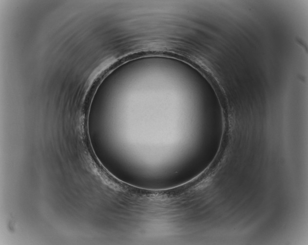 X0000102461029200808081223