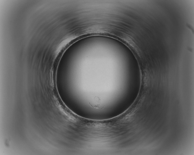 X0000102461030200808081223