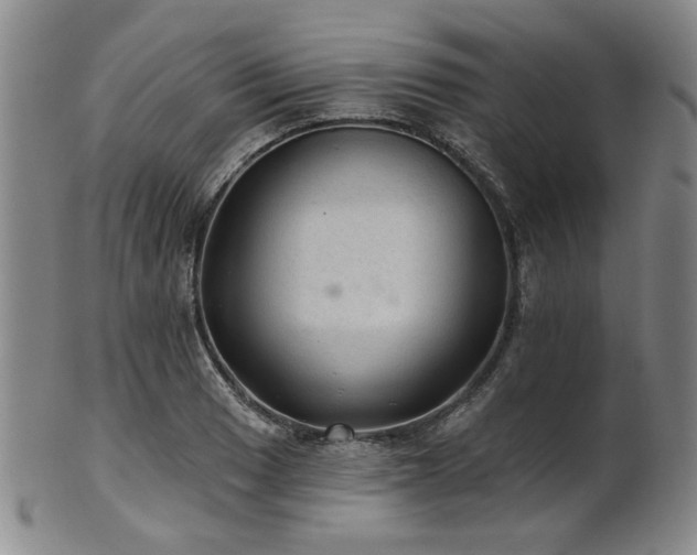 X0000102461033200808081223