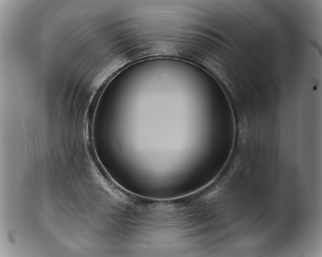 X0000102461034200808081223
