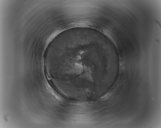 X0000102461035200808081223