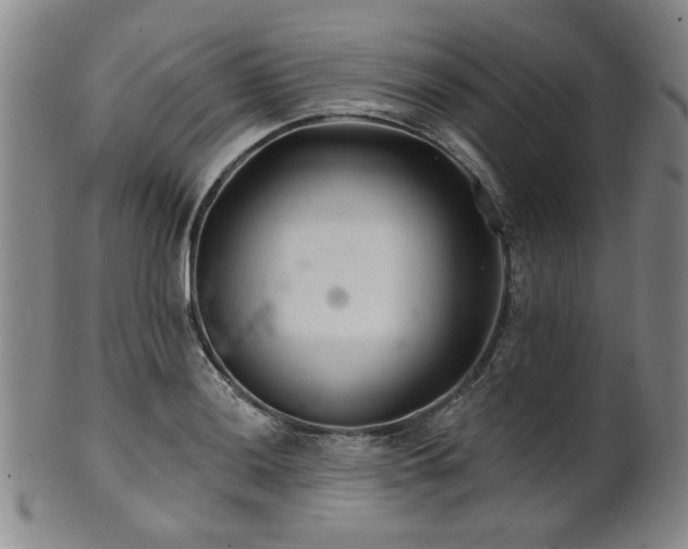 X0000102461036200808081223