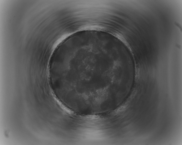 X0000102461037200808081223