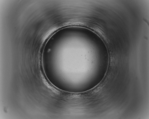 X0000102461038200808081223