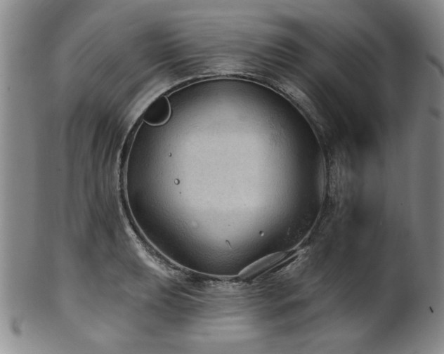 X0000102461039200808081223