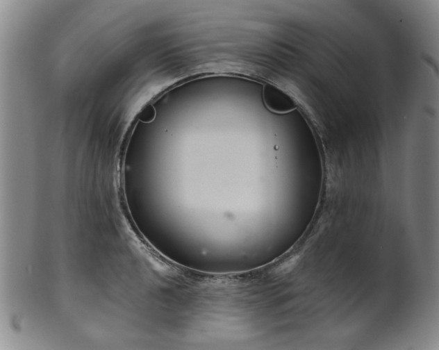X0000102461040200808081223