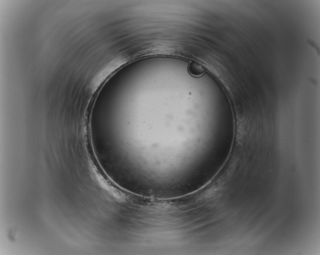 X0000102461042200808081223
