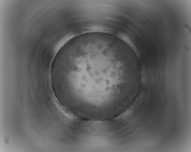 X0000102461043200808081223