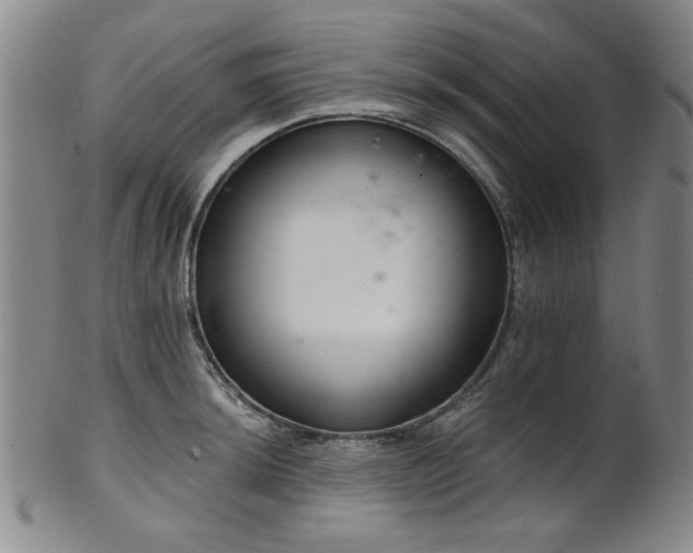 X0000102461044200808081223