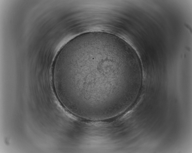 X0000102461045200808081223