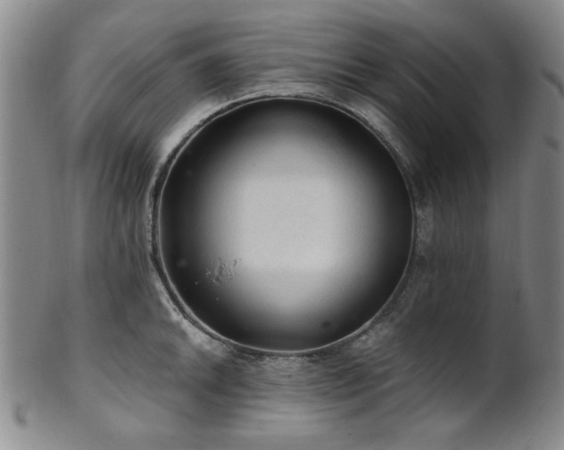 X0000102461046200808081223