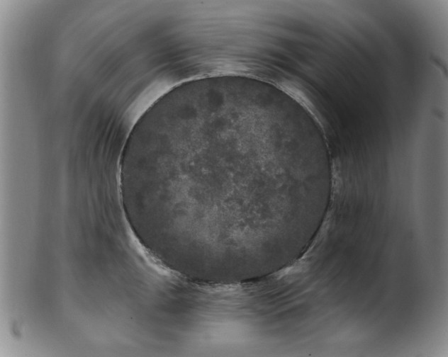 X0000102461047200808081223