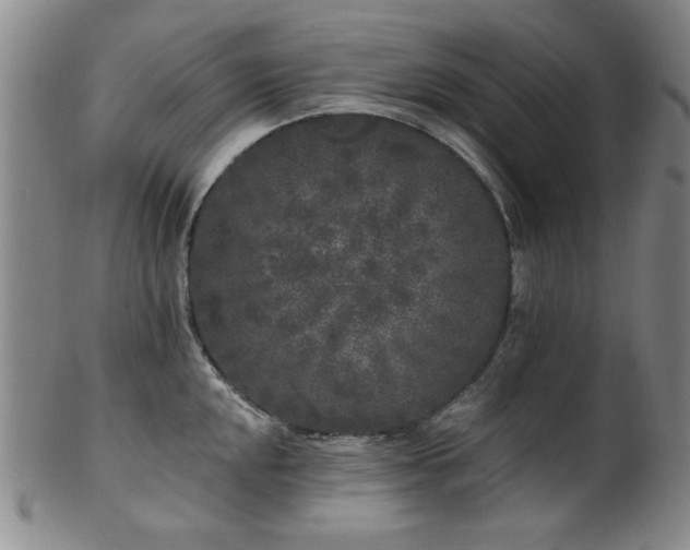X0000102461048200808081223