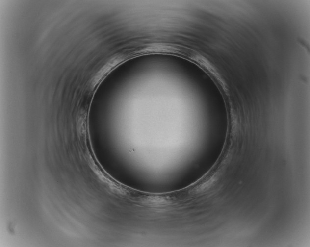 X0000102461049200808081223