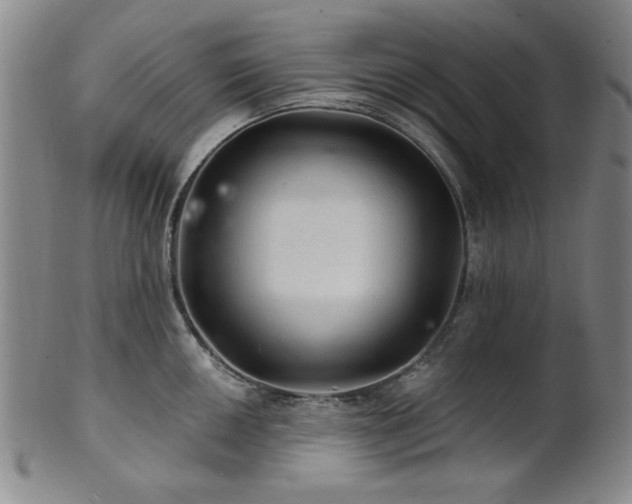 X0000102461050200808081223