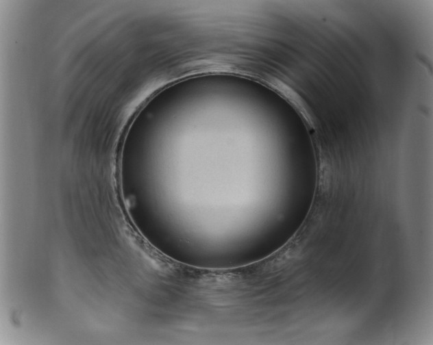 X0000102461051200808081223