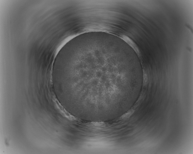 X0000102461052200808081223