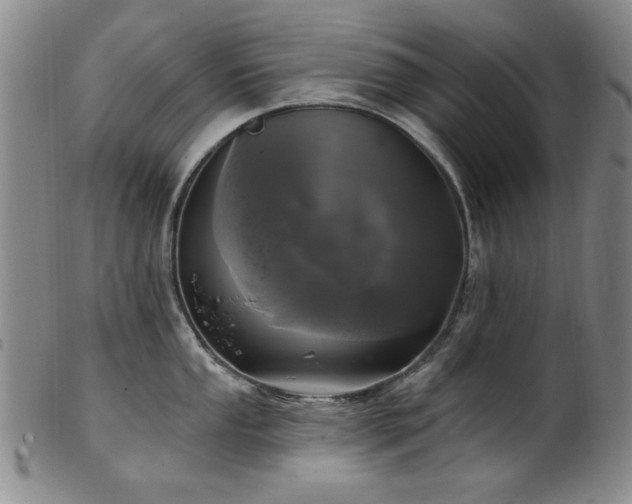 X0000102461053200808081223