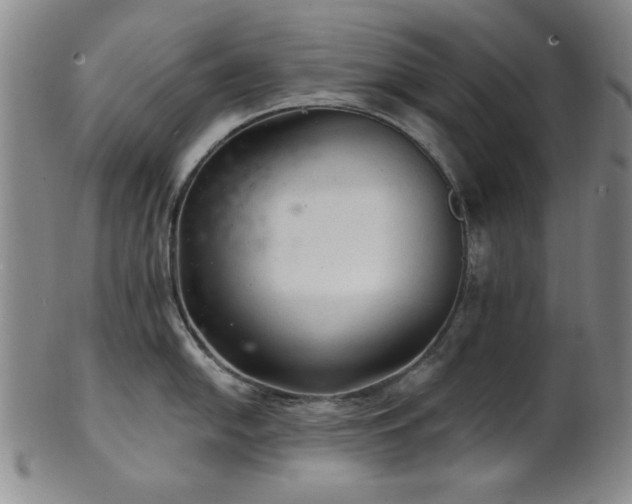 X0000102461054200808081223
