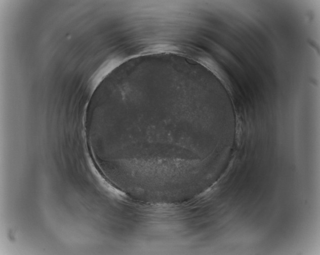 X0000102461055200808081223