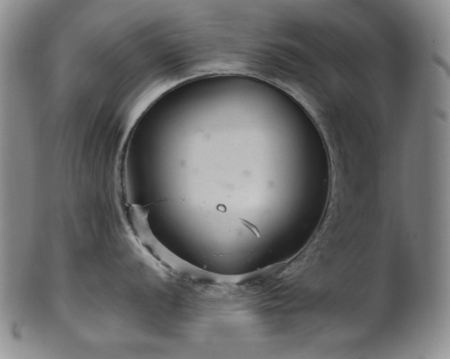 X0000102461056200808081223