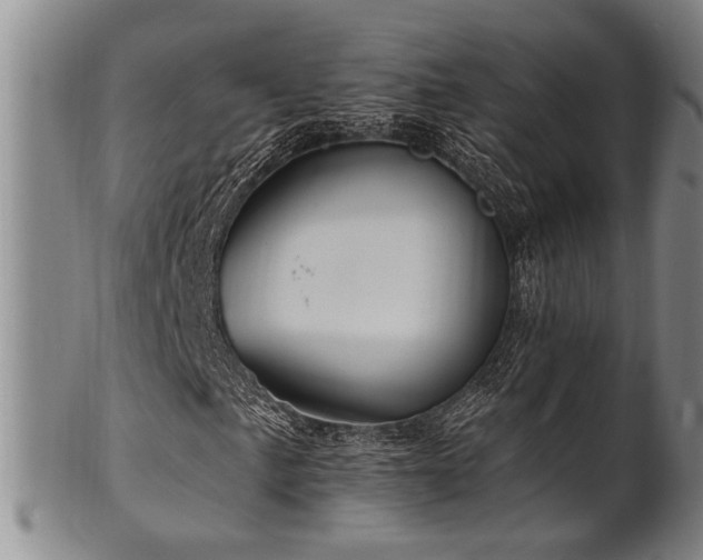 X0000102461057200808081222