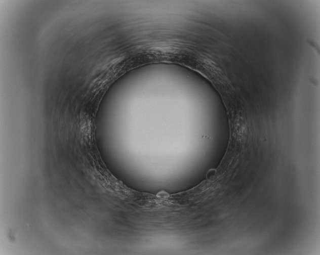 X0000102461061200808081222