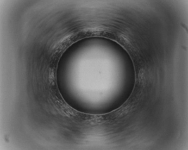 X0000102461062200808081222