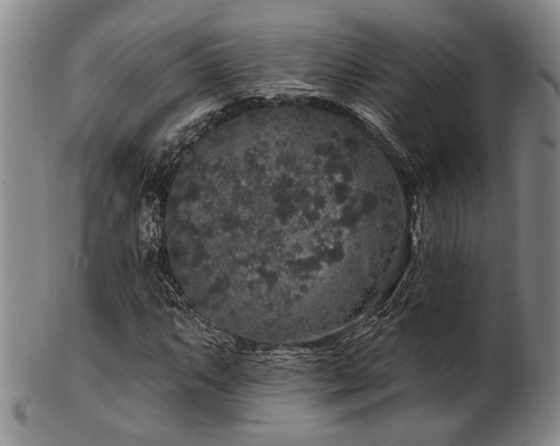 X0000102461063200808081222