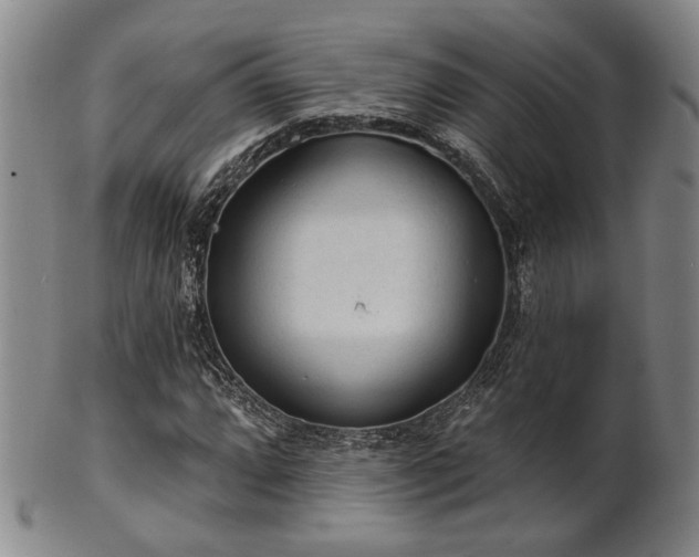 X0000102461064200808081222