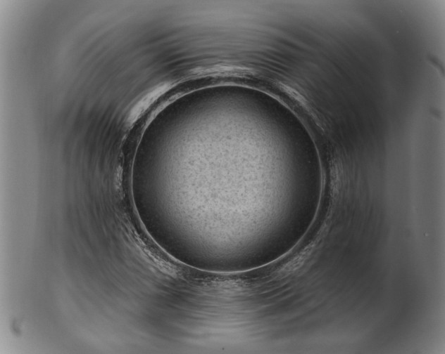 X0000102461066200808081222
